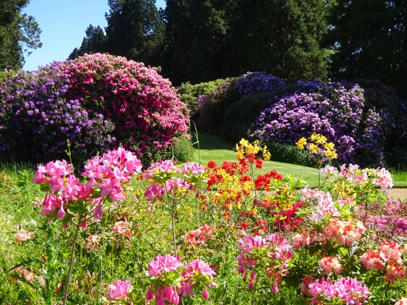 Ashridge House Gardens